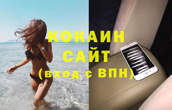 индика Алзамай