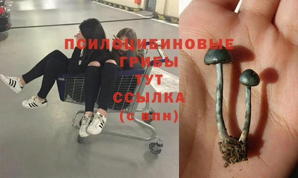 PSILOCYBIN Алексин