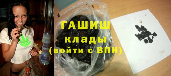 индика Алзамай